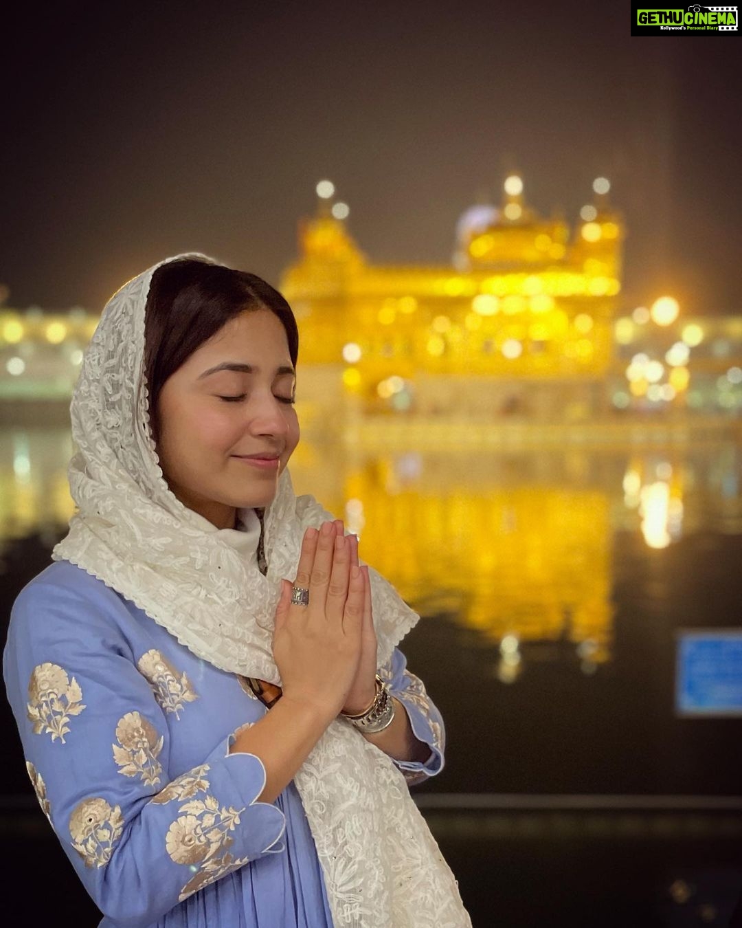 Shweta Tripathi Instagram - निरभउ-निरवैर 🙏🏼✨ Golden Temple Amritsar