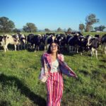 Shweta Tripathi Instagram – Jab 💛 banna 🎈on the Hot Air Ballon 🌤

Wearing @ilovepero 

#ThisIsQueensland #PlayGoldCoast #TataBattata Queensland, Australia