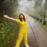 Shweta Tripathi Instagram – Ek ladki ko dekha tou aisa laga 🐣