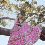 Shweta Tripathi Instagram - Gulabi 🌸 U N V E I L I N G 𝐉𝐡𝐨𝐨𝐥𝐞𝐲 • झूले • ਝੂਲੇ Swinging through a lifetime Story, concept & direction @toraniofficial Image courtesy @vanshvirmani Styling and image design @jahnvibansal Assistant director @asmipradeep Hair and make up @diva_rose21
