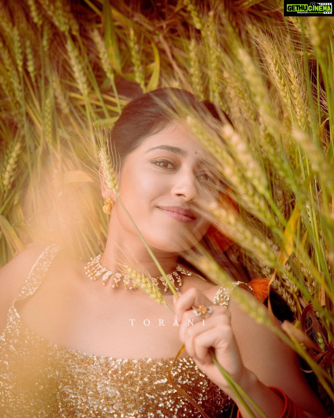 Shweta Tripathi Instagram - To dreaming, blooming, becoming. Every single day. Story, concept & direction @toraniofficial Image courtesy @vanshvirmani Styling and image design @jahnvibansal Assistant director @asmipradeep Hair and make up @diva_rose21