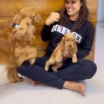 Siri Hanumanth Instagram - Let me introduce you to my people ❤️ . . @herothecockerspaniel #Shiro 🥰 Missing you @imshrihan 😞
