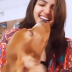 Siri Hanumanth Instagram - Scientist anta😂🤦🏼‍♀️ lol ..