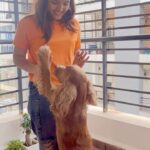 Siri Hanumanth Instagram – My best friend has a fur nd a tail🐾❤️ 
.
.
.
@herothecockerspaniel