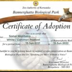 Sonal Monteiro Instagram – Adopted a White Peafowl from the Bannerghatta Biological Park !!! 
@darshanthoogudeepashrinivas hats off to u sir !! 
I did my bit, did you ??? 

#adoptanimals #whitepeafowl #zooofkarnataka #animallovers #darshanthoogudeepasrinivas #dboss #dbossfans #bannerghattanationalpark #zoosofkarnataka #sonalmonteiro #boxofficesulthandboss #dbosskingdom Bangalore, India