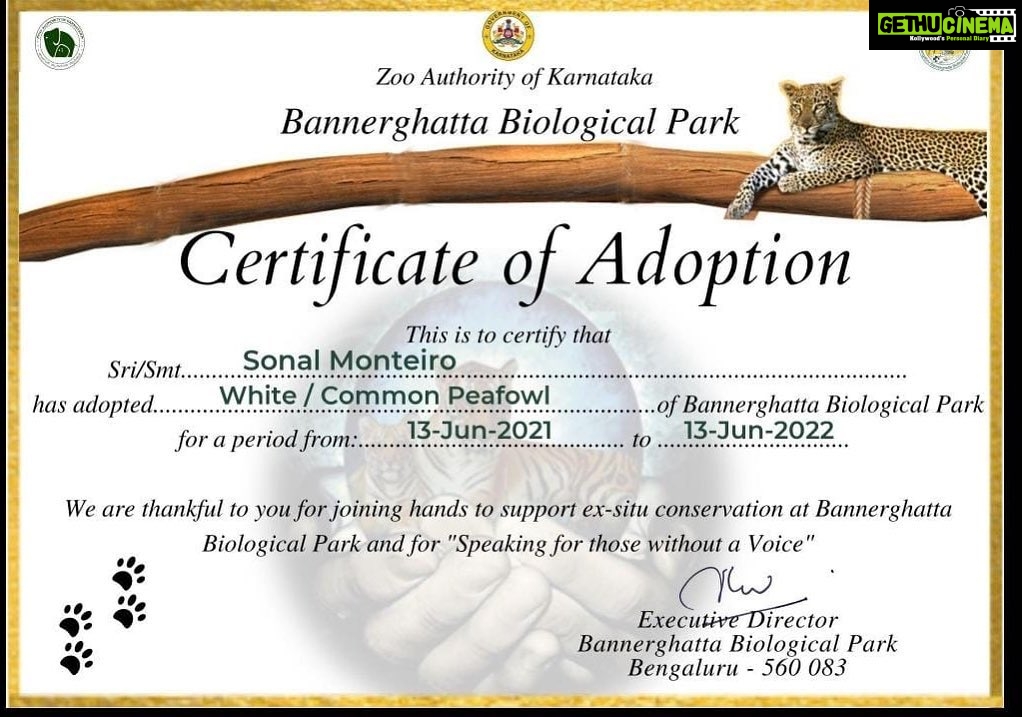 Sonal Monteiro Instagram - Adopted a White Peafowl from the Bannerghatta Biological Park !!! @darshanthoogudeepashrinivas hats off to u sir !! I did my bit, did you ??? #adoptanimals #whitepeafowl #zooofkarnataka #animallovers #darshanthoogudeepasrinivas #dboss #dbossfans #bannerghattanationalpark #zoosofkarnataka #sonalmonteiro #boxofficesulthandboss #dbosskingdom Bangalore, India