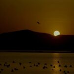 Sonalee Kulkarni Instagram – No this isn’t a drawing or painting! 

It is an actual picture captured so beautifully by  @travelbandar 
during our #sunset #boatride at #mtdcnashikboatclub in the backwaters of #godavari river #gangapur dam, #gangapurreservoir 

P.S. watch full episode – LINK IN BIO MTDC Boat Club, Nashik