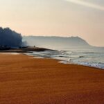 Sonalee Kulkarni Instagram – A picture dump from one of the most underrated place in Maharashtra,  Vengurla. 

Wherever the eye sees, it is a scenery out of a painting. @sonalee18588 and  I re-discovered this part of Maharashtra, and we urge you to come along with us to experience Konkan and find out Maharashtra ko dekhne, sunne aur chakhne ke Anokhe Tips on Maharashtra On My Lips.

#vengurla #konkan #MaharashtraUnlimited 
#TravelMaharashtra #Khaanemeinkyahai #photooftheday #travelgram #picoftheday #inseasonnow #eatfamous #foodstyling #goodmoodfood #farmtotable #makeitdelicious #foodie #foodporn #foodgasm #MaharashtraFood