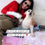Sonnalli Seygall Instagram – Celebrated my birthday with these babies yesterday ❤️ 
It takes just one person to make a difference in the life of a stray animal, but it takes a community to change their fate.

I was pained and happy at the same time. Pained to see so many handicapped/ special and old babies but happy that @foundationsamovila has provided them with a home ❤️ I saw the amazing work they’ve been doing and I can only thank them n support them and urge you to do the same 🙏 They are the true heroes! #Respect 

Pls share this with all animal lovers and with anyone who wants to bring about a change in their fate 🙏

#animalrights #savetheanimals #animalwelfare #adoptdontshop #stopanimalabuse #animallovers #strayanimals #petlovers #animalcharity #petreels