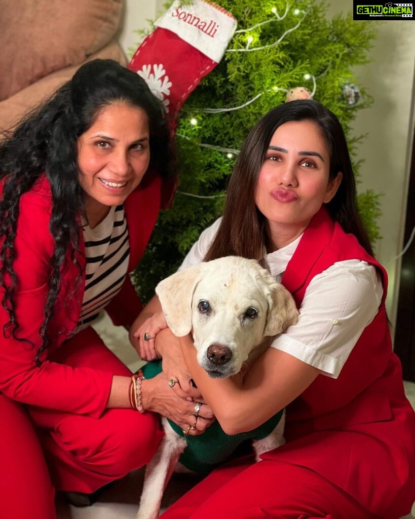 Sonnalli Seygall Instagram - It’s a Merry Christmas ❤️ #christmas2022 #happyholidays #familytime #doggiechristmas #labsofinstagram