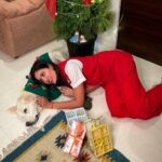 Sonnalli Seygall Instagram - It’s a Merry Christmas ❤️ #christmas2022 #happyholidays #familytime #doggiechristmas #labsofinstagram