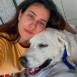 Sonnalli Seygall Instagram - *IMPORTANT* Now that I have your attention, swipe left for reality, which is me at my COVID best. Finally after 2 yrs I have contracted the virus. I am isolating and recovering ❤️‍🩹 This msg is also a reminder that covid is trying to crawl back into our lives, so mask up guys! This fight is gonna be a little longer than we thought, but we r in it to win it. Stay strong! Stay safe! I must add that I really take pride in my immunity and I hardly ever fall sick.. but having contracted this virus now and having fever I guess after yearsss, I have to say it’s not a good feeling and the virus is everything horrible that they say it is. But having said that, lots of fluids, vitamins, medicines, meditation, prayers & lots of doggo love help heal you soonest🙌 Also, DOGS DO NOT SPREAD #corona ! P.S- Anyone who’s come in contact with me, pls get yourself tested, though my CT count is non infectious, according to my reports. Stay safe ☀️ #stayathome #covid #staysafe #getvaccinated #socialdistance #maskup #covid19 #instavsreality