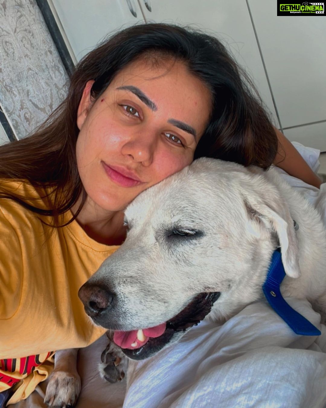 Sonnalli Seygall Instagram - *IMPORTANT* Now that I have your attention, swipe left for reality, which is me at my COVID best. Finally after 2 yrs I have contracted the virus. I am isolating and recovering ❤️🩹 This msg is also a reminder that covid is trying to crawl back into our lives, so mask up guys! This fight is gonna be a little longer than we thought, but we r in it to win it. Stay strong! Stay safe! I must add that I really take pride in my immunity and I hardly ever fall sick.. but having contracted this virus now and having fever I guess after yearsss, I have to say it’s not a good feeling and the virus is everything horrible that they say it is. But having said that, lots of fluids, vitamins, medicines, meditation, prayers & lots of doggo love help heal you soonest🙌 Also, DOGS DO NOT SPREAD #corona ! P.S- Anyone who’s come in contact with me, pls get yourself tested, though my CT count is non infectious, according to my reports. Stay safe ☀️ #stayathome #covid #staysafe #getvaccinated #socialdistance #maskup #covid19 #instavsreality