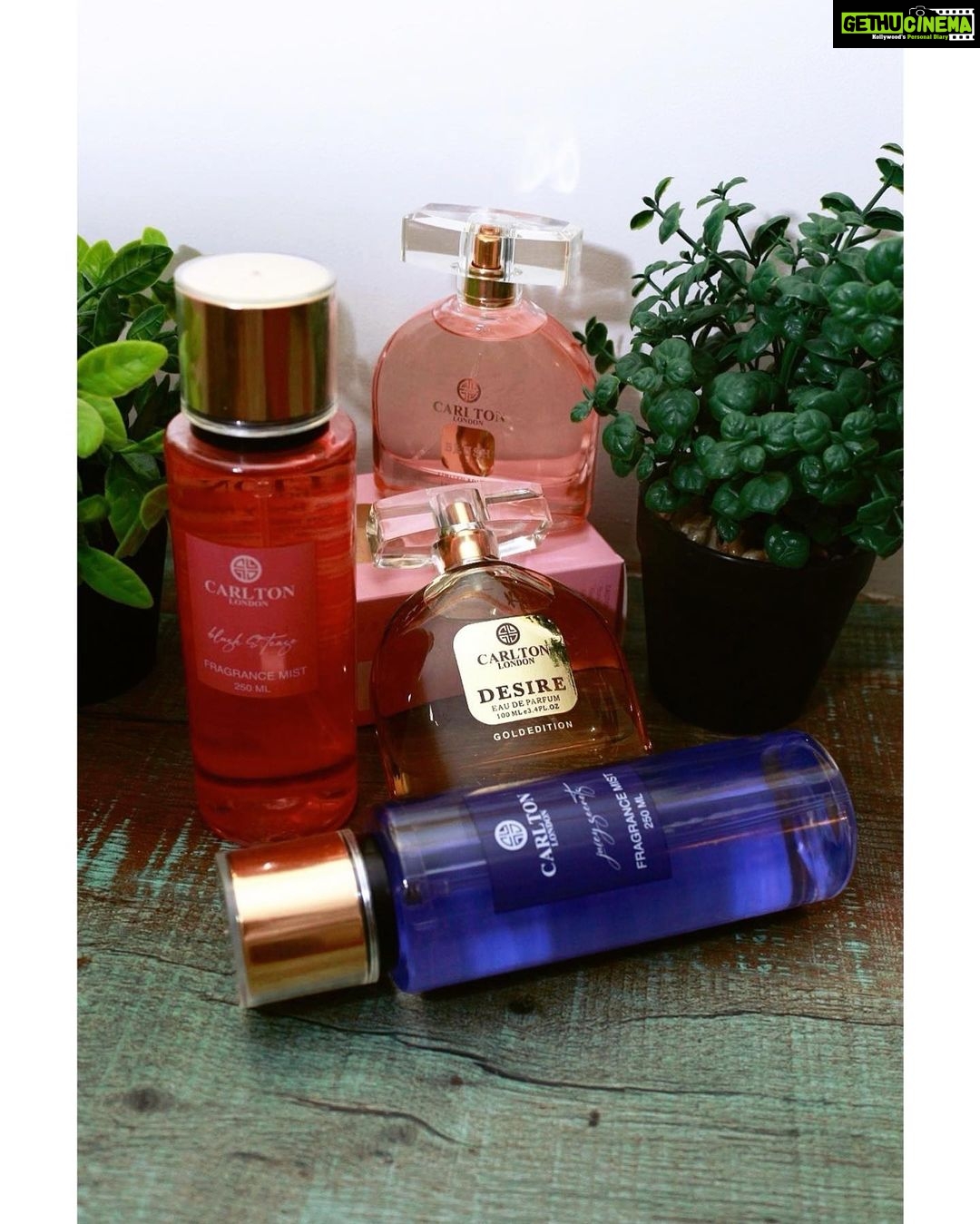 Vidhi Pandya Instagram - I've always had a love affair with fragrances. Currently obsessing over this amazing one from the new range of @carltonlondonbeauty. Get yours today @MYNTRA'S EORS (END OF REASON SALE) #GetcloserwithCL #Carltonlondonbeauty #myntra #Eaudeparfum #EORS #Parfum #perfumecollection # myntraendofreasonsale #carltonlondonfragrance # myntrabeauty #fragrance