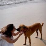 Vidhi Pandya Instagram - Me to literally every puppy I meet🥰 All my pawsitive people drop a 🐾 in the comments below 🧿. #beuniquelyyou #love #BB15 #vidhipandya #vidhiipandya