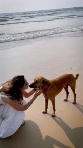 Vidhi Pandya Instagram - Me to literally every puppy I meet🥰
All my pawsitive people drop a 🐾 in the comments below 🧿.
#beuniquelyyou #love #BB15 #vidhipandya #vidhiipandya