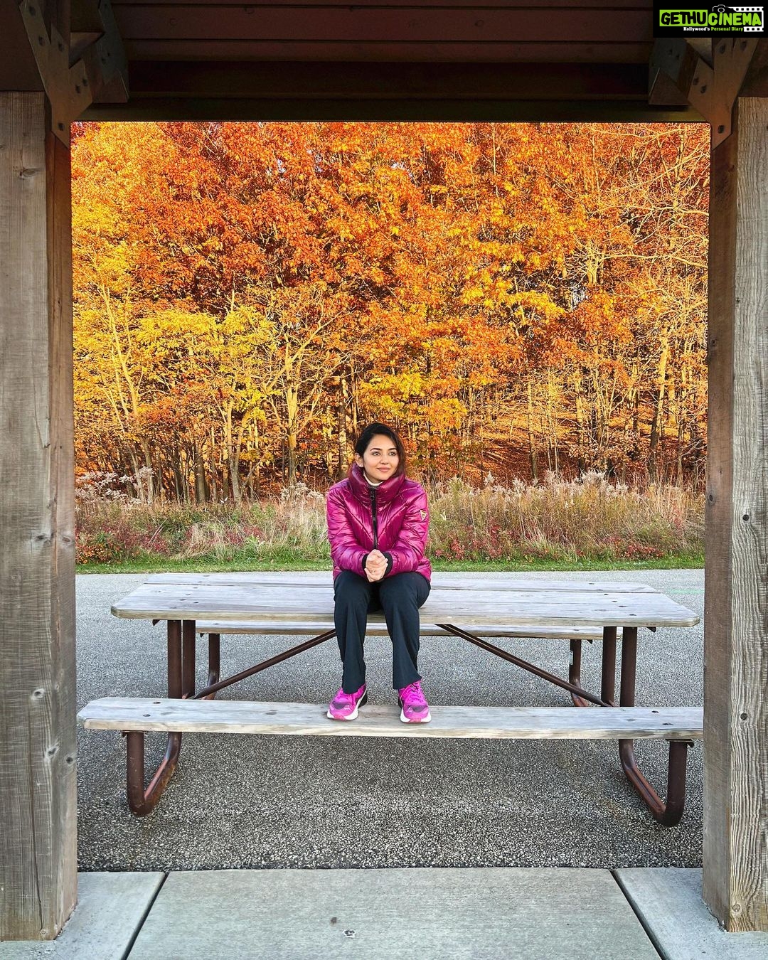 Vidhya Instagram - Another fall, another turned page…🍁🍂