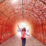 Vidhya Instagram - 🍁🧡
