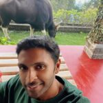 Vikram Prabhu Instagram - Ssssh🤫 holiday home visitor. #bothsafe #justchilling #hillsandthings #indiangaur #timewellspent Planet Earth