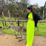Aakanksha Singh Instagram - Bumped into Mr. Roo 🦘 He even taught me his signature pose 💁🏻‍♀️ #melbourne #australia