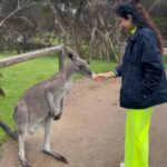 Aakanksha Singh Instagram - Bumped into Mr. Roo 🦘 He even taught me his signature pose 💁🏻‍♀️ #melbourne #australia