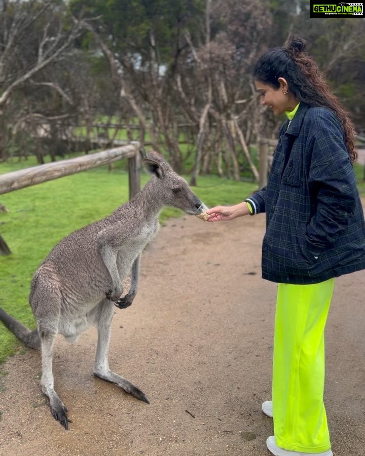 Aakanksha Singh Instagram - Bumped into Mr. Roo 🦘 He even taught me his signature pose 💁🏻‍♀️ #melbourne #australia