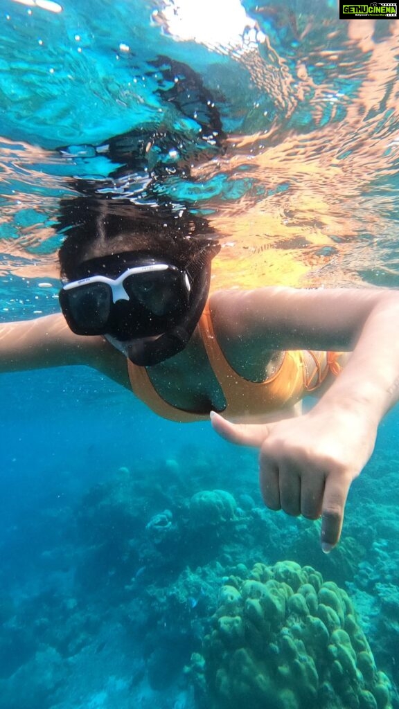 Aakanksha Singh Instagram - The ocean is everything I want to be. Beautiful, mysterious, wild, and free 🤍 P.s spotted a lionfish 🤓 which is the most expensive fish in maldives and is very poisonous if comes in contact 😬 #snorkeling #maldives #underwaterlife #aakankshasingh #love #lekepehlapehlapyar #trendingreels #underwater #underwaterphotography #lionfish #maldivesislands