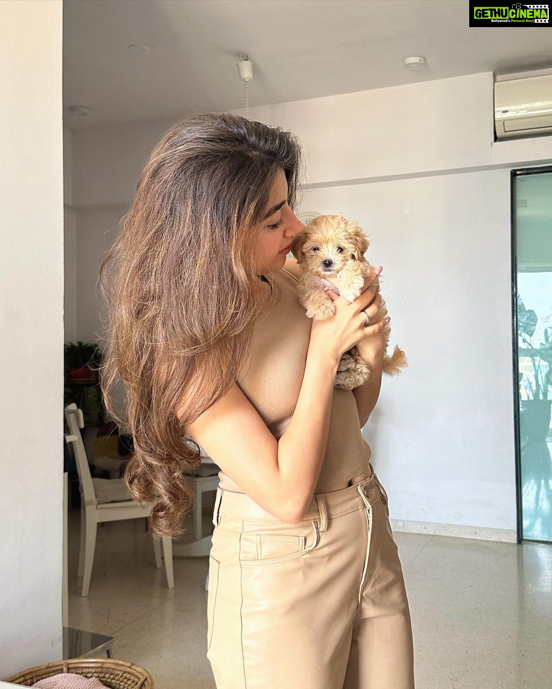 Aditi Bhatia Instagram - welcome home baby boy 🐾 Mumbai, Maharashtra