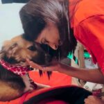 Aishwarya Sakhuja Instagram – Being with the fur babies makes my day pawsome 🫶🏻🐾 
Throwback to the #YOLOTurns2 event where I got to spend time with so many of them 😍
.
.
#pets #furbabies #pawsome #babies #pawsitivity #goodtimes #goodvibes #happytimes #reels #reelsinstagram #aishwaryasakhuja