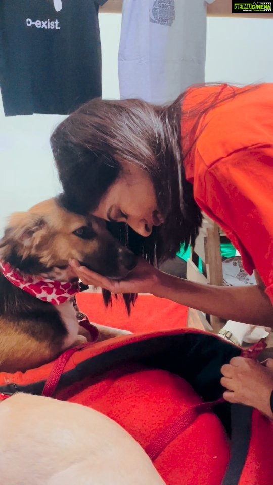 Aishwarya Sakhuja Instagram - Being with the fur babies makes my day pawsome 🫶🏻🐾 Throwback to the #YOLOTurns2 event where I got to spend time with so many of them 😍 . . #pets #furbabies #pawsome #babies #pawsitivity #goodtimes #goodvibes #happytimes #reels #reelsinstagram #aishwaryasakhuja