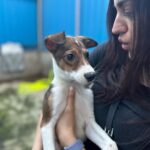Aksha Pardasany Instagram - Got a chance to interact with the cutest, gentlest and naughtiest boys and girls today ❤️ They make for wonderful buddies, brothers, sisters, sons and daughters. Your life will never be the same. They are looking for a place in your homes and your hearts, and believe me, if you take a chance on them, they will fulfil your lives in a way nothing else on this planet can. Please take a moment to look at them posing like pros. Ask @kaushal_dp and he will confirm they were the best models and actors. To adopt them or visit them, please contact @catsofmeowmbai