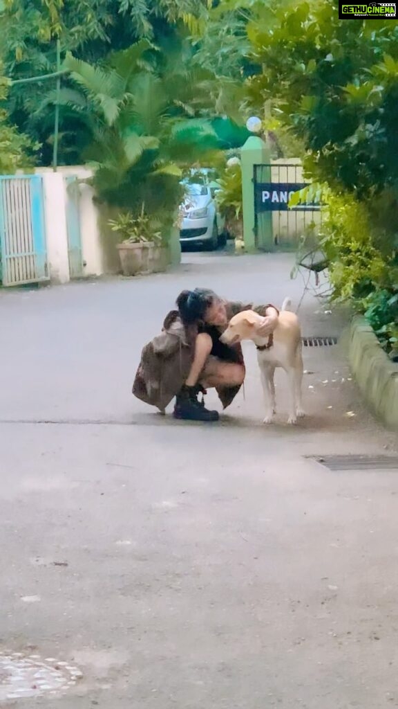 Akshara Haasan Instagram - are you a dog or cat or an-all-animals person? also, is @aksharaa.haasan the cutest or what ♥️ . . . #animallovers #doglovers #trending #reelsinsta #reelsindia #explore #fyp #explorepage #trendingreels #trendingaudio #dogsofinstagram #dogsofmumbai #mumbaidiaries