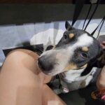 Akshara Haasan Instagram – Puppy stories part 3