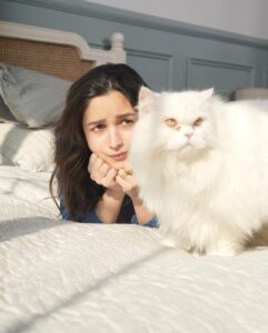 Alia Bhatt Instagram - It’s a great Sunday to be ignored by your cat 

#notsohappysundays 🫠