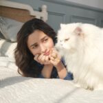 Alia Bhatt Instagram - It’s a great Sunday to be ignored by your cat #notsohappysundays 🫠