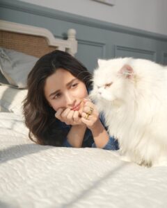 Alia Bhatt Instagram - It’s a great Sunday to be ignored by your cat 

#notsohappysundays 🫠
