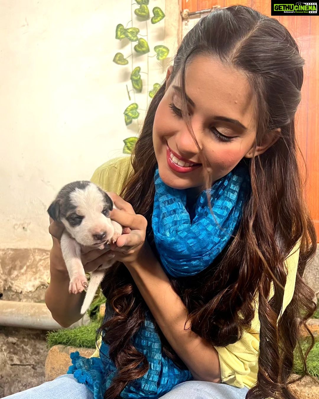 Alice Kaushik Instagram - Puppy love πΆπ #NoFilterOnlyLove