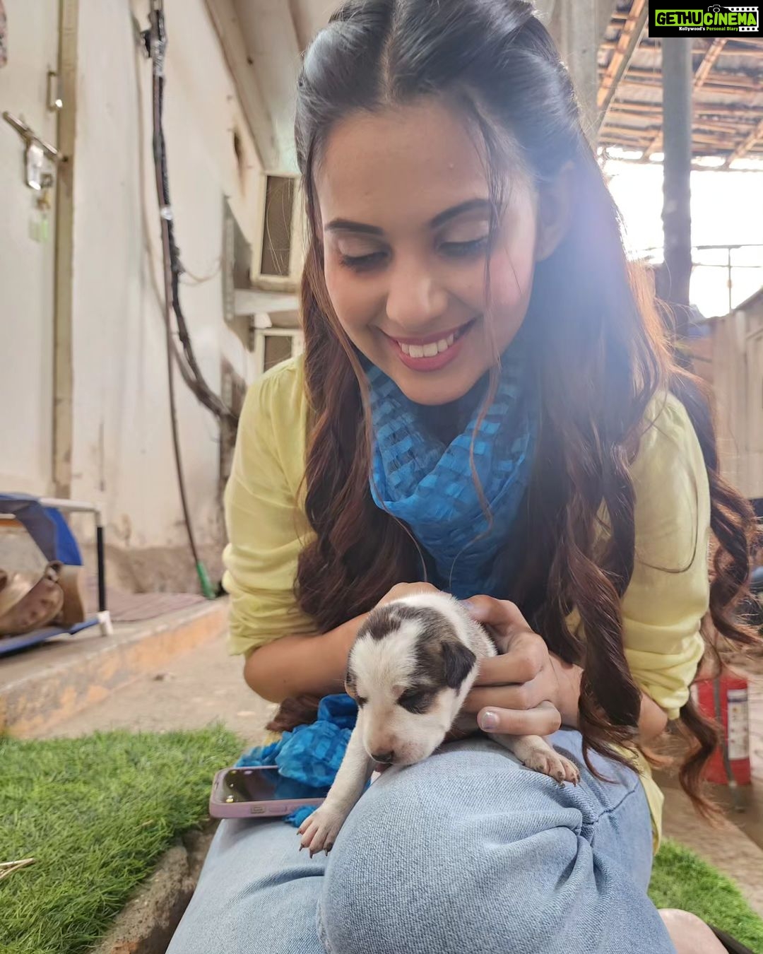 Alice Kaushik Instagram - Puppy love πΆπ #NoFilterOnlyLove