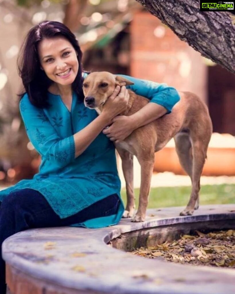 Amala Akkineni Instagram - Love doesn’t have a breed! Come and participate in the Indie Dog Show on 8th Jan 2023 at Hyderabad and show us your beautiful furry friend! For details and registration check the link in bio @bluecrosshyd #lovemyindie #adoptdontshop