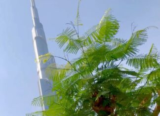 Ameesha Patel Instagram - DUBAI …. 💥💥💥💥💥💥