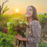 Amrutha Nair Instagram - 🌸 Outfit @my_cottonstore #nature #naturephotography