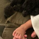 Amy Jackson Instagram - Visual gratitude list ❤️