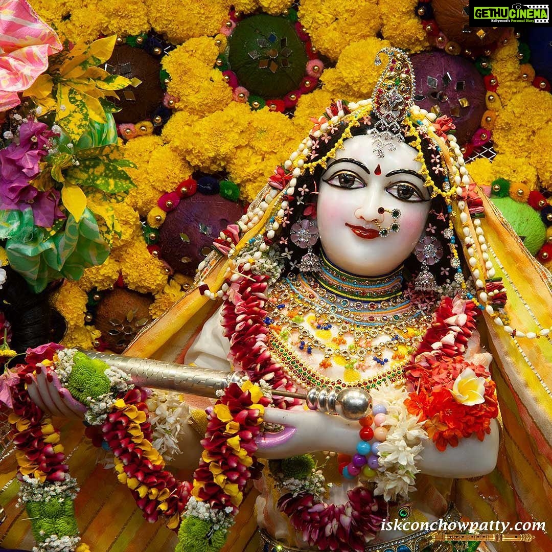 Anagha Bhosale Instagram - Holi Festival - Sri Sri Radha Gopinath ji Shringar Darshan #iskconchowpatty #iskconchowpatty🛕 #gopinath2023 #iskontemple #mumbai #happyholi #holifestival #2023 ISKCON Chowpatty - Sri Sri Radha Gopinath Temple