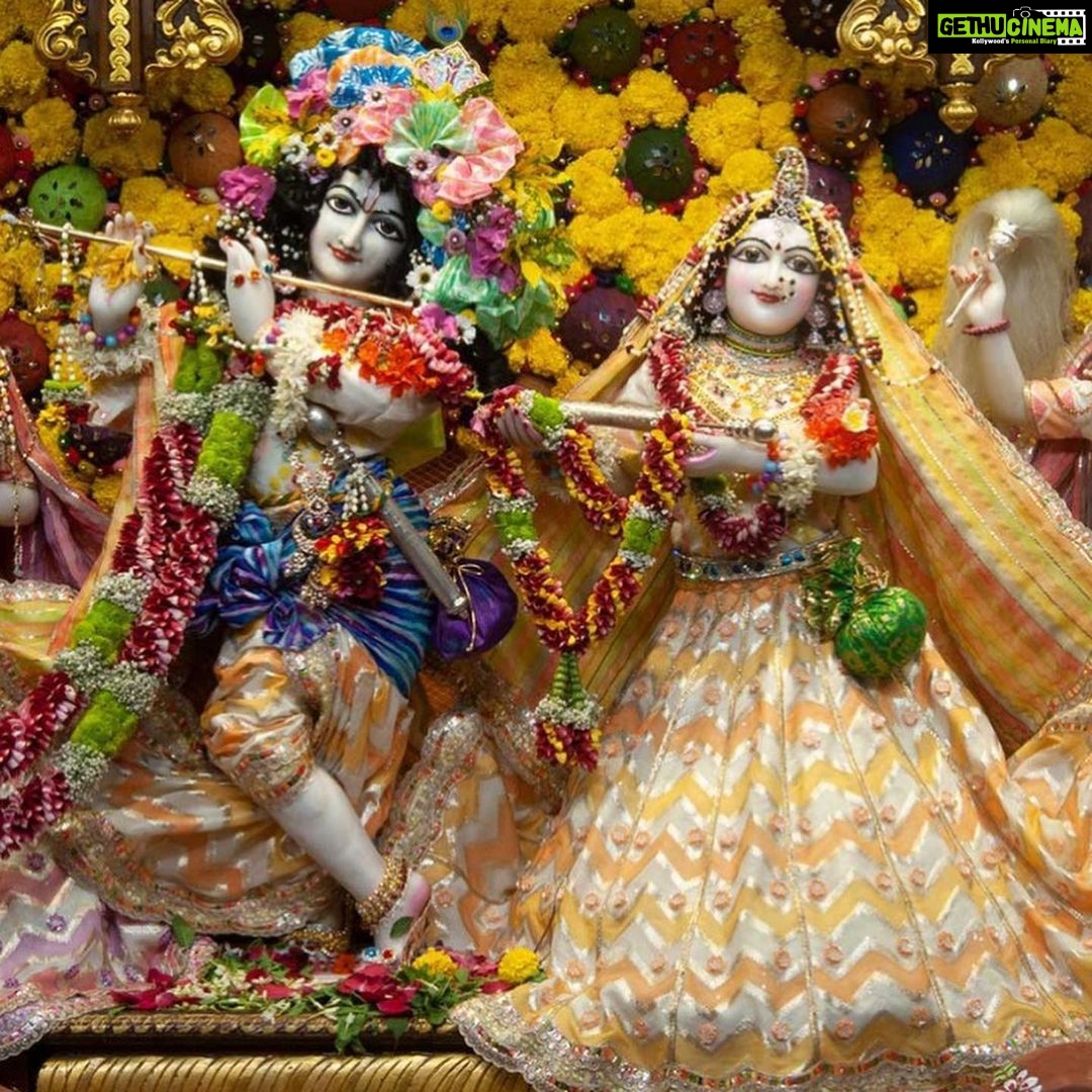 Anagha Bhosale Instagram - Holi Festival - Sri Sri Radha Gopinath ji Shringar Darshan #iskconchowpatty #iskconchowpatty🛕 #gopinath2023 #iskontemple #mumbai #happyholi #holifestival #2023 ISKCON Chowpatty - Sri Sri Radha Gopinath Temple