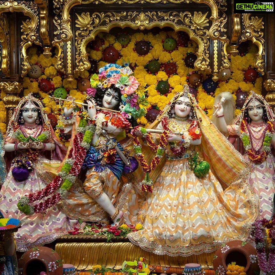 Anagha Bhosale Instagram - Holi Festival - Sri Sri Radha Gopinath ji Shringar Darshan #iskconchowpatty #iskconchowpatty🛕 #gopinath2023 #iskontemple #mumbai #happyholi #holifestival #2023 ISKCON Chowpatty - Sri Sri Radha Gopinath Temple