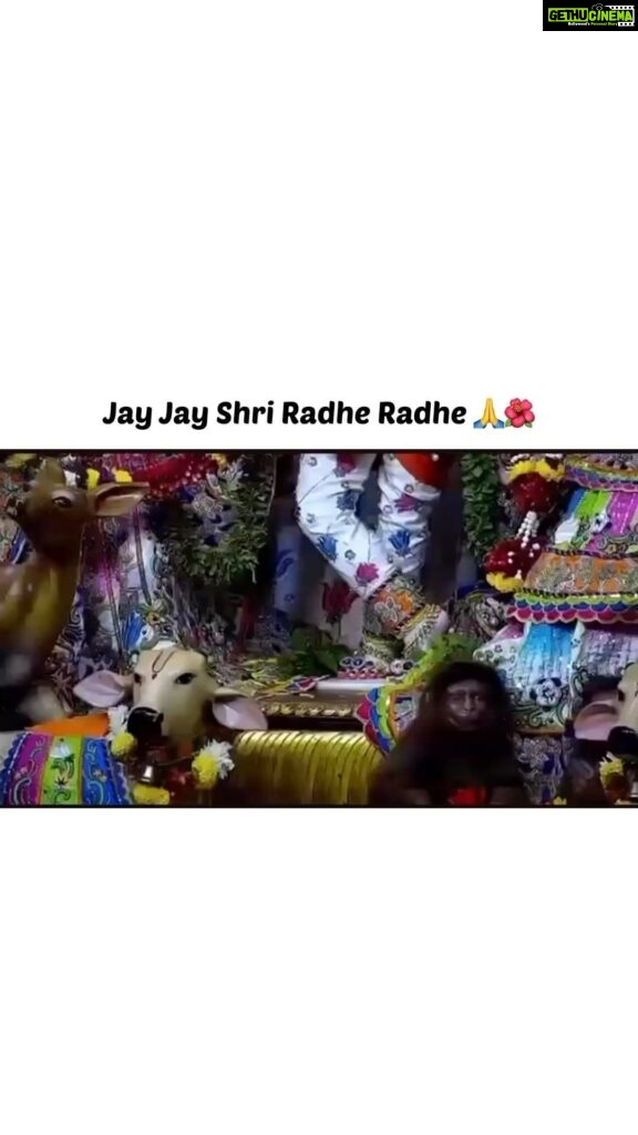 Anagha Bhosale Instagram - Jay Jay shri Radhe Radhe 🫠🌺🙏