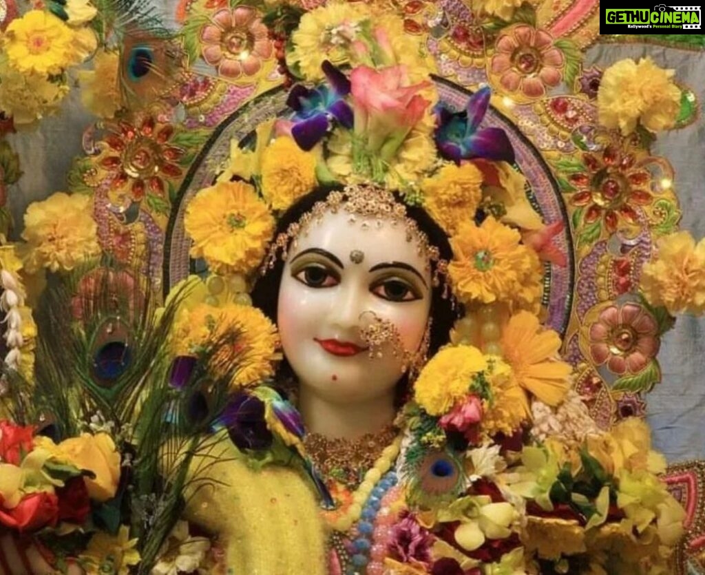 Anagha Bhosale Instagram - Happy Radhashtami, Happy Birthday Radha Rani. thank you so much for giving us the blessing of devotion & service, forever grateful 🥹🦚💙🙏🏻