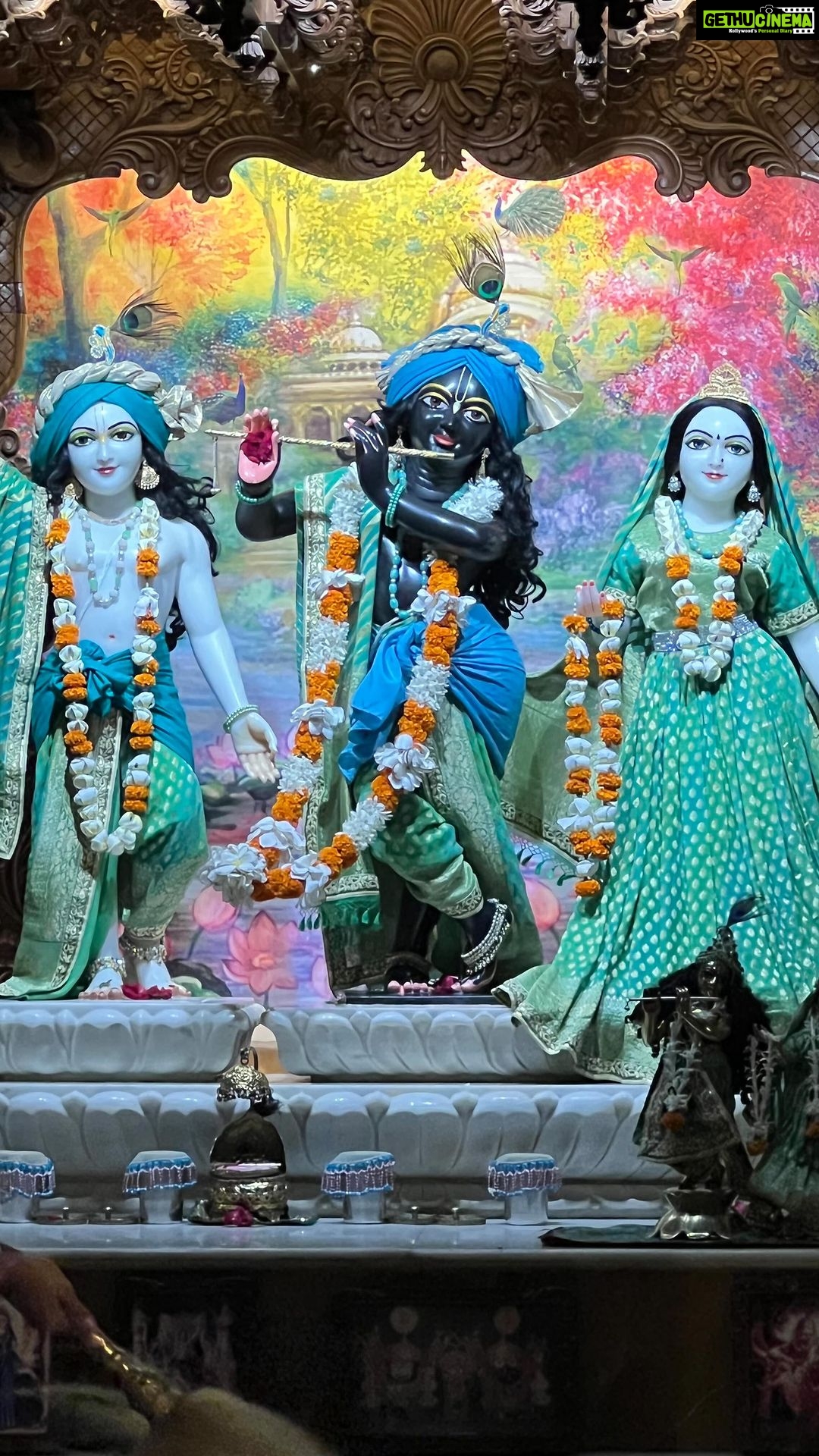 Anagha Bhosale Instagram - This is how everyoneโs day should start! Mangala Aarti gives you freshness & energy for the entire day @govardhan_ecovillage @iskcon_gev_official How the morning routine is: 1) 4:30am Sri Sri Radha Vrindavan Bihari Ji Mangala Aarti Then we continue with Narasimha Aarti, After that Tulsi Aarti 2) 5-7am chanting time for your rounds 3) 7am Darshan Aarti of Sri Sri Vrindavan Bihari ji Followed by Jagannath ashtakam & Guru Vandana 4) 7:45am Darshan Aarti for Sri Radha Madanmohan ji๐๐ป๐๐ป๐ 5) All set for Prasadam ๐ & your respective sevas ๐๐ป Govardhan Eco Village (GEV) - Sri Radha Vrindavanbihari Temple, Mumbai.