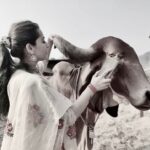 Anagha Bhosale Instagram - Pure love of god is our nature, but we are so much diverted, so much distracted by the externals, that we’ve forgotten that it’s our essence. - Radhanath Maharaj . Dress: @gulabi_dori Govardhan Ecovillage