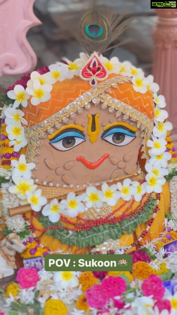 Anagha Bhosale Instagram - अक्षय्य तृतीयेच्या हार्दिक शुभेच्छा🦚♥️ Chandan Yatra marks the start of the summer season in Vrindavan and is celebrated for 21 days. The festival starts on Akshaya Tritiya and ends on the full moon day of Vaishakha month. During these days, Lord Krishna, Balram, Shree Shree Radha Shyamsundar , Giriraj and Gaur Nitai are adorned with sandalwood paste. #coolness for #summer ☀️🌸🦚